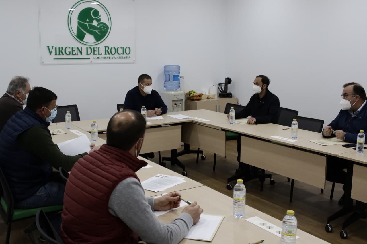 LA OFICINA DE PATENTES DA LA RAZÓN AL GOBIERNO LOCAL EN LA DEFENSA DE LAS PAPAS DE SANLÚCAR