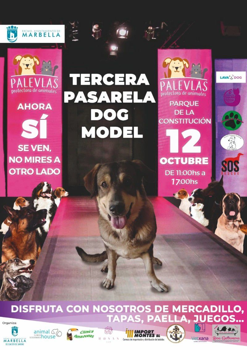 [12 Oct 2021] - TERCERA PASARELA DOG MODEL (Ferias y Congresos, Sanidad, Consumo y Servicios) Auditorio del Parque de la Constitución