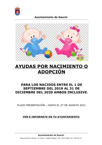 AYUDAS POR NACIMIENTO O ADOPCIÓN