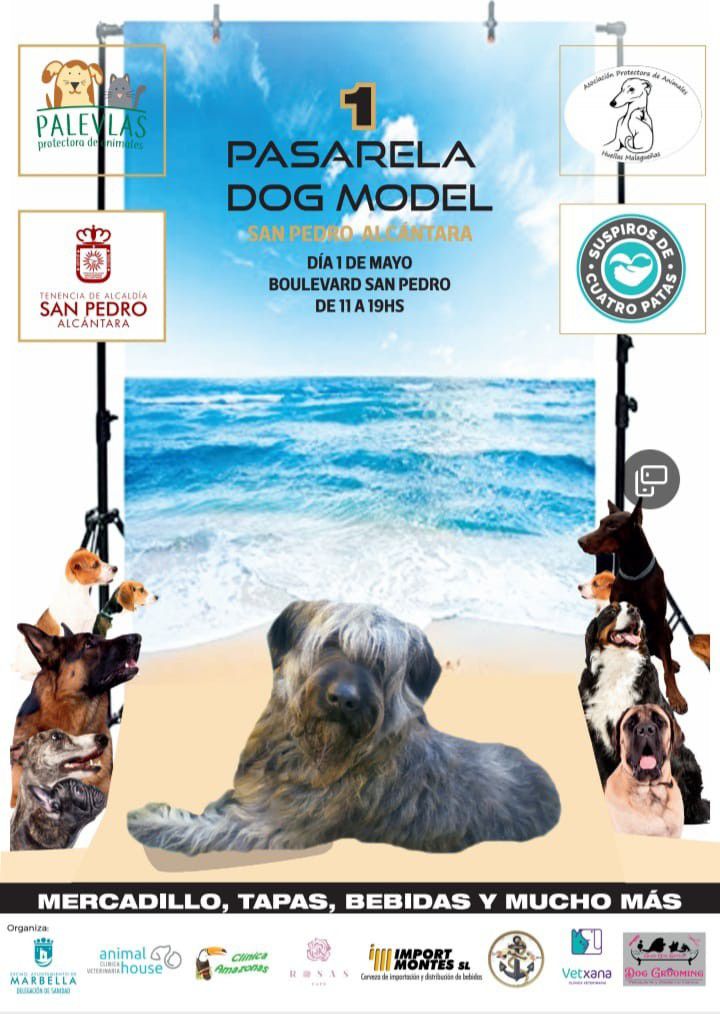 [01 May 2022] - PASARELA DOG MODEL (Actos Benéficos, Ferias y Congresos, Tenencia Alcaldía San Pedro) Boulevard San Pedro