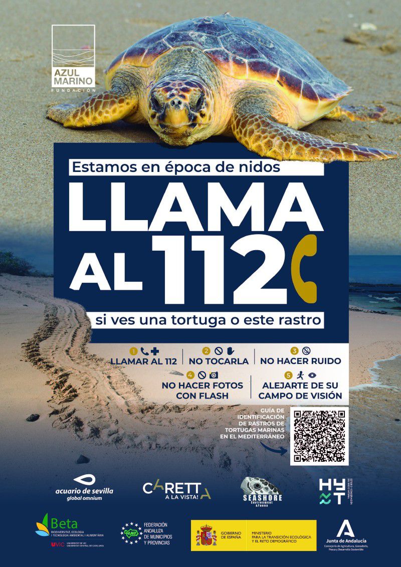 [28 Jun 2022] - ANIDACIÓN TORTUGAS MARINAS (Medioambiente)