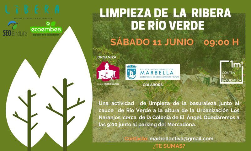 Limpieza de la ribera de Rio Verde