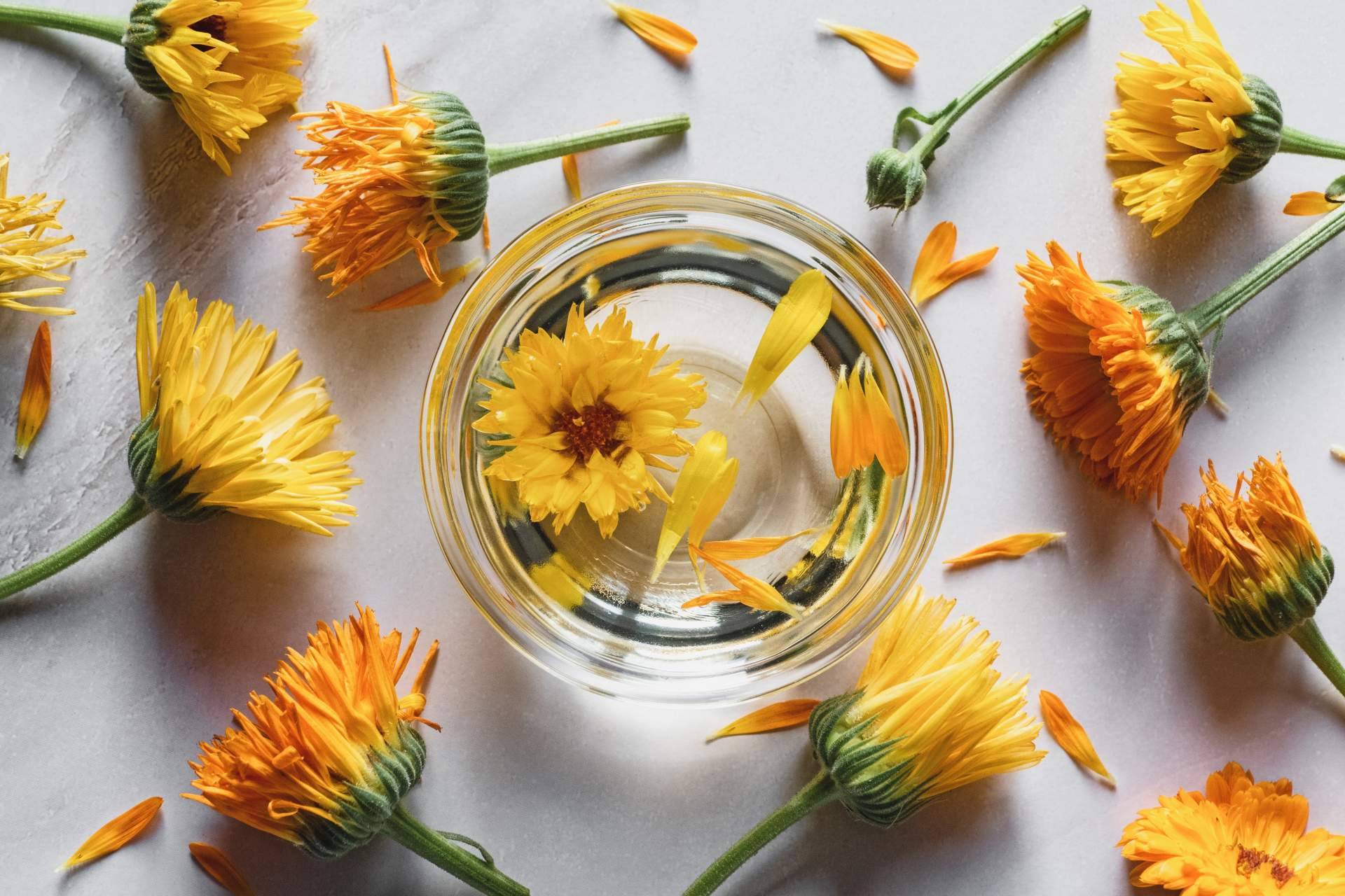 Cuidarse por dentro y por fuera con los productos de nutricosmética de Theriac Wellness