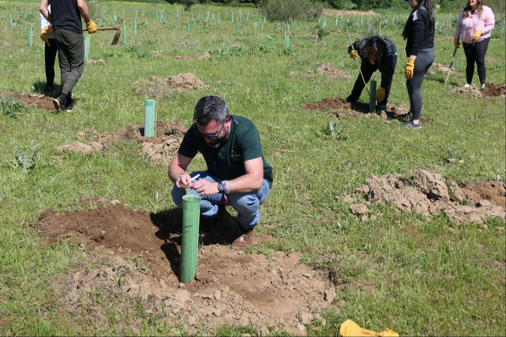 Oney planta su segundo bosque con 500 árboles en Madrid