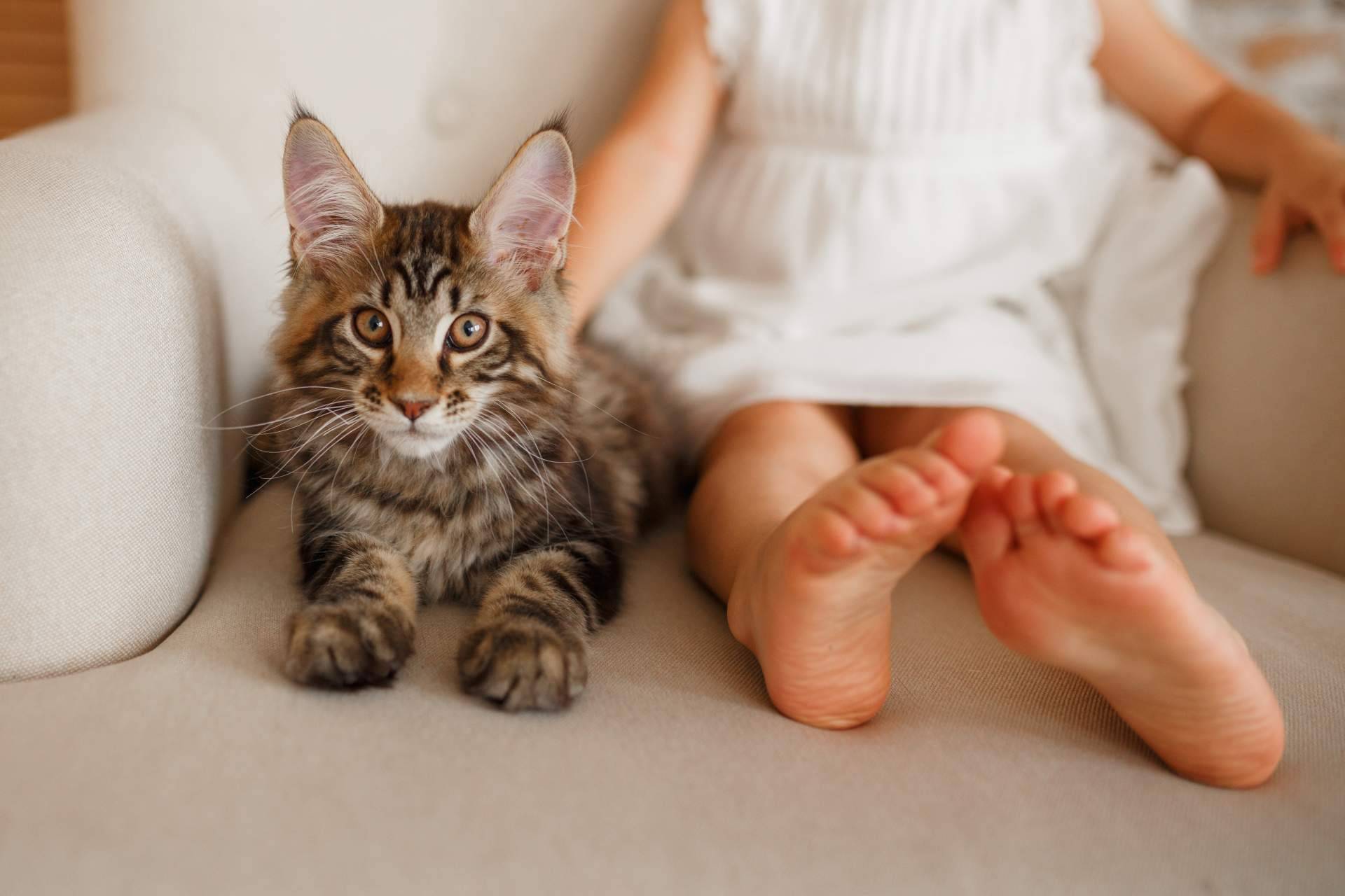 ¿Por qué es importante contar con colchones y sillones ergonómicos?, por Dormilones taller del Sueño