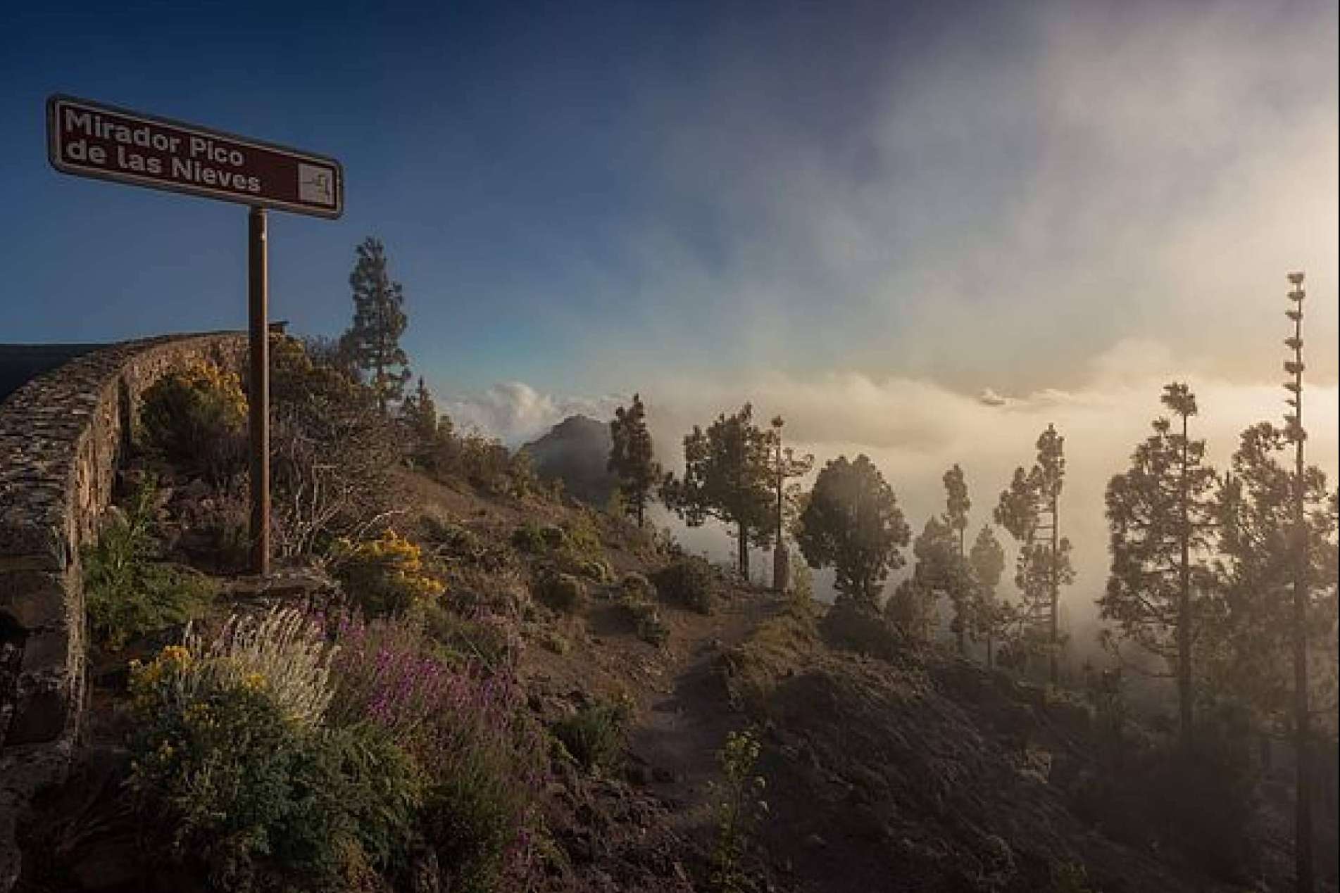Descubrir 7 miradores de Gran Canaria que enamorarán si se viene al concierto de Pablo López