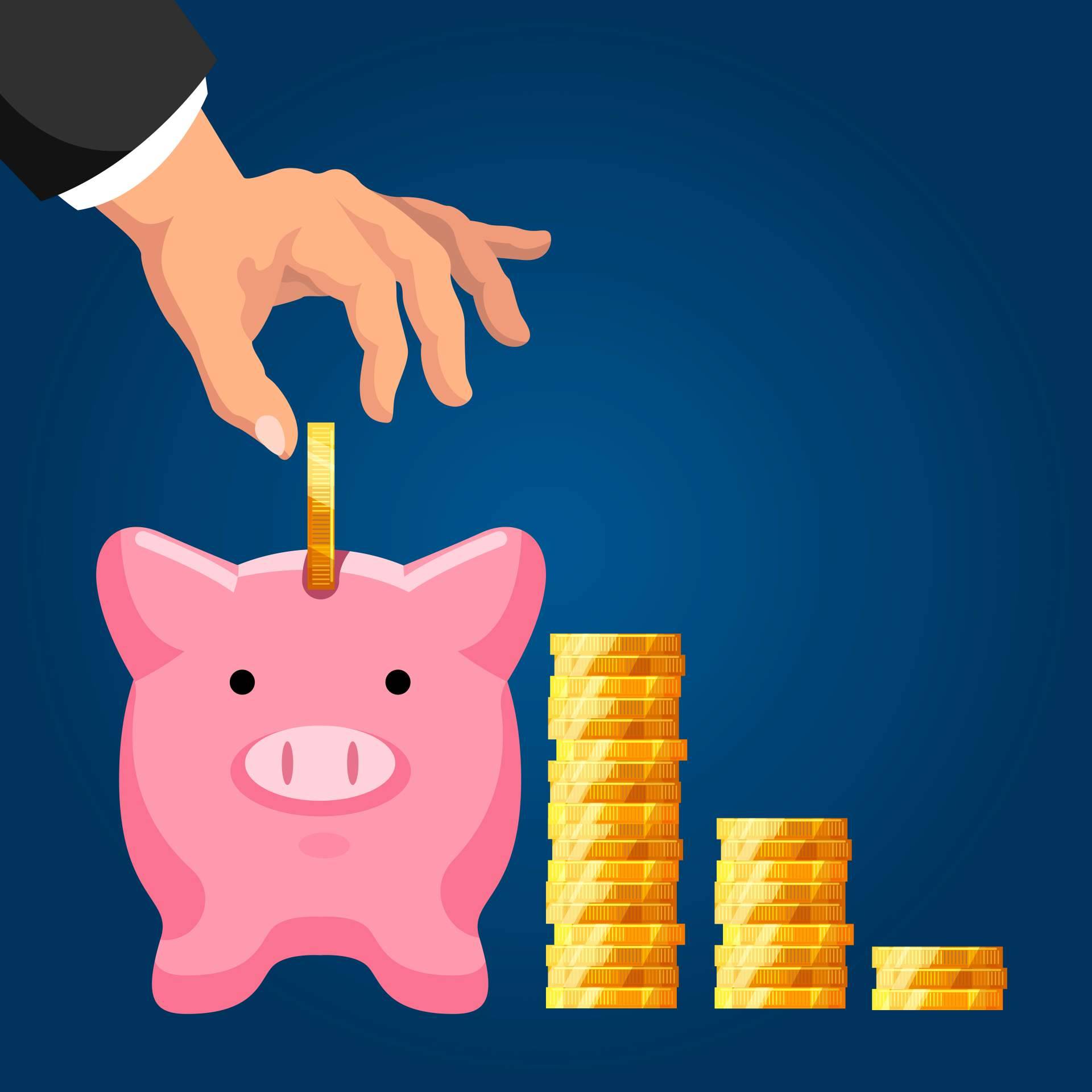 Adquirir un programa de contabilidad profesional con un pago único sin cuotas mensuales