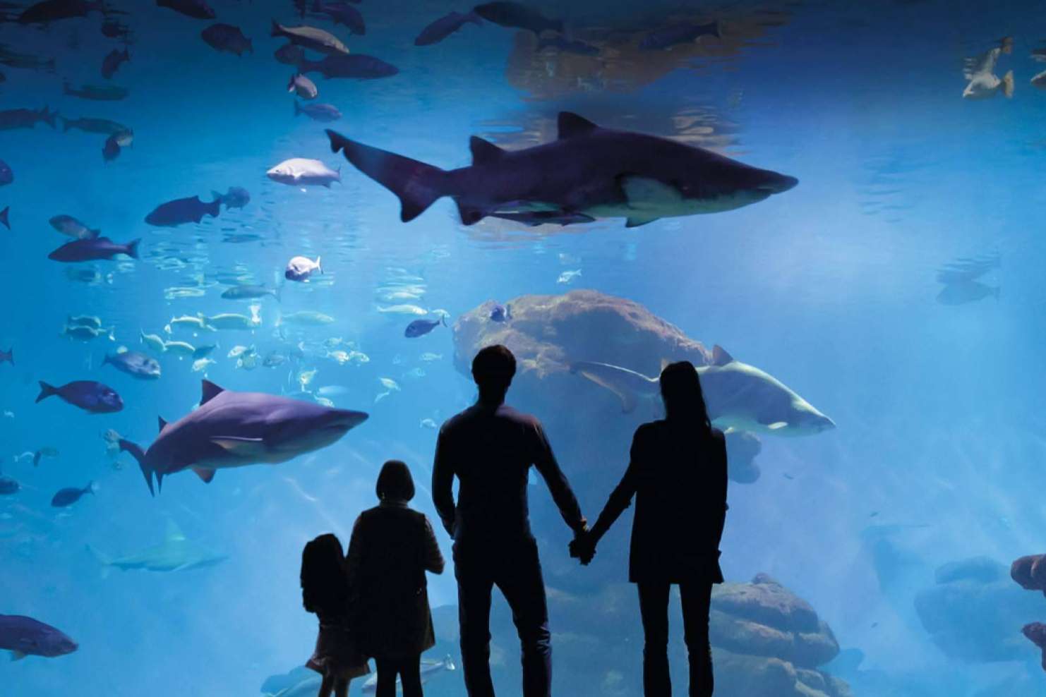 Palma Aquarium celebra su fiesta solidaria 'Yo También' a favor de la Fundación Respiralia