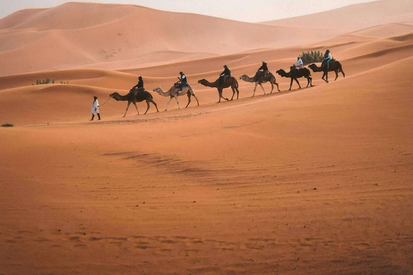 El Principado de Bir Tawil impulsa el turismo sostenible