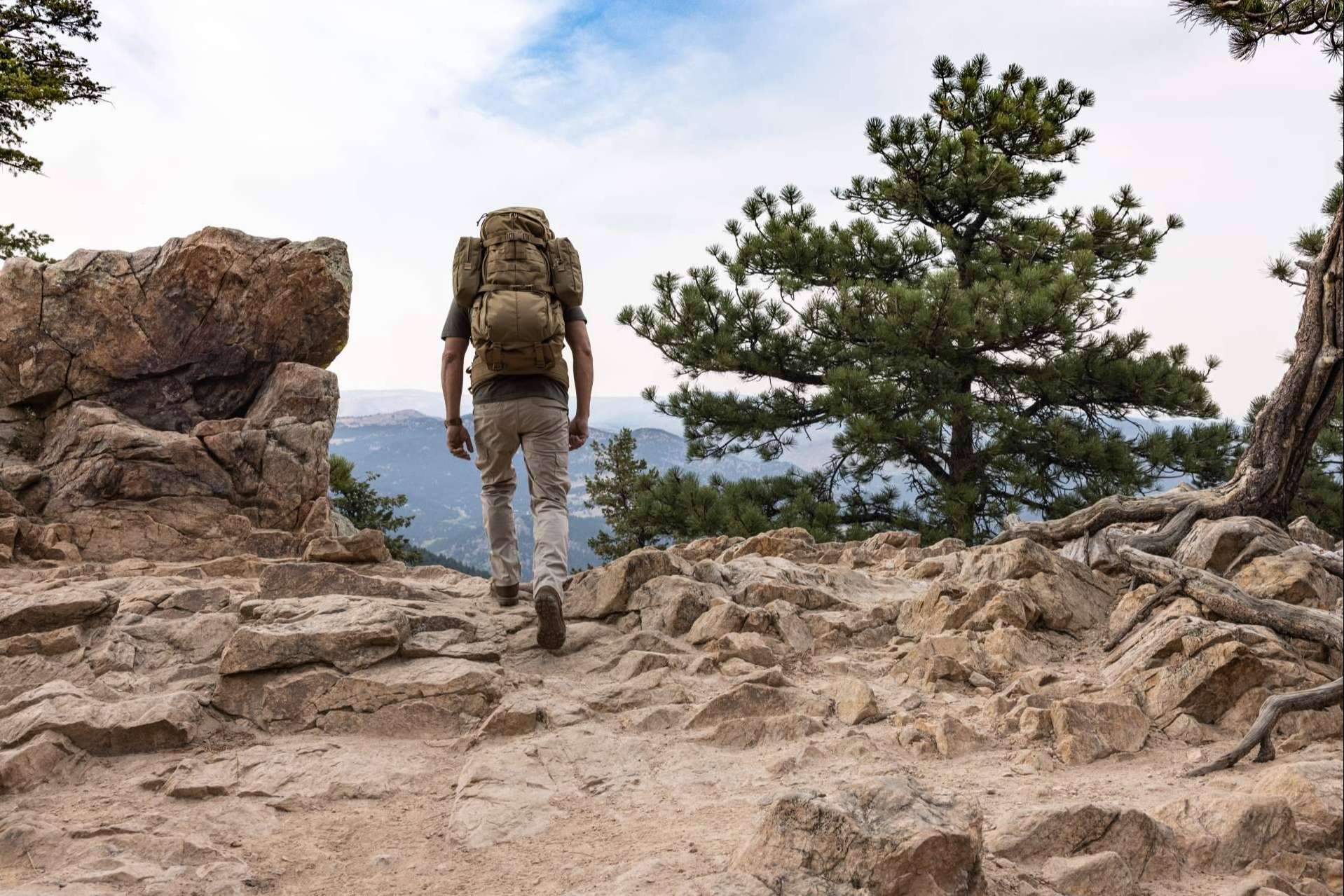 Supervivencia en la Naturaleza; Estrategias clave que se deben conocer