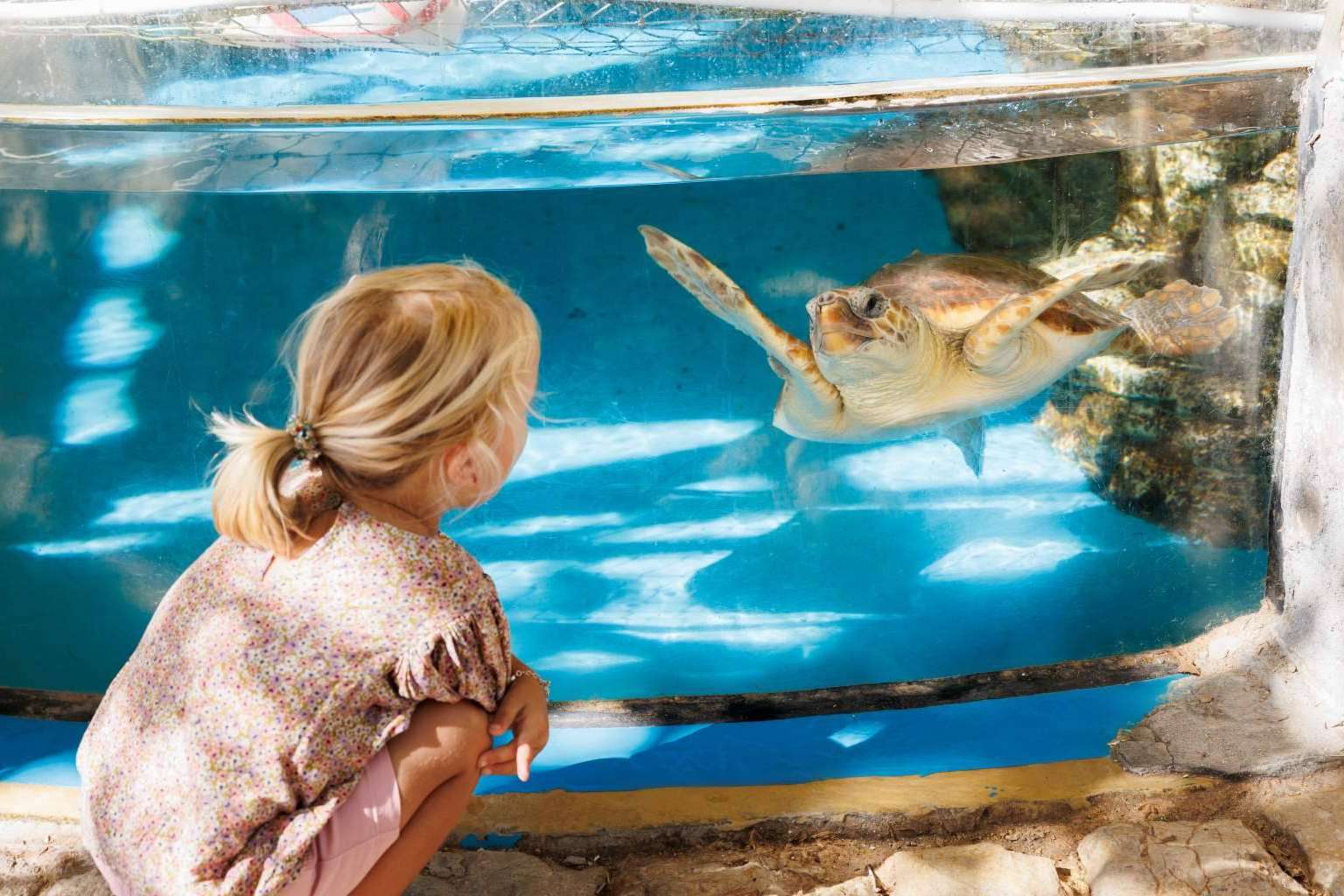 Visita Mallorca en Semana Santa; Conecta con el mar en Palma Aquarium