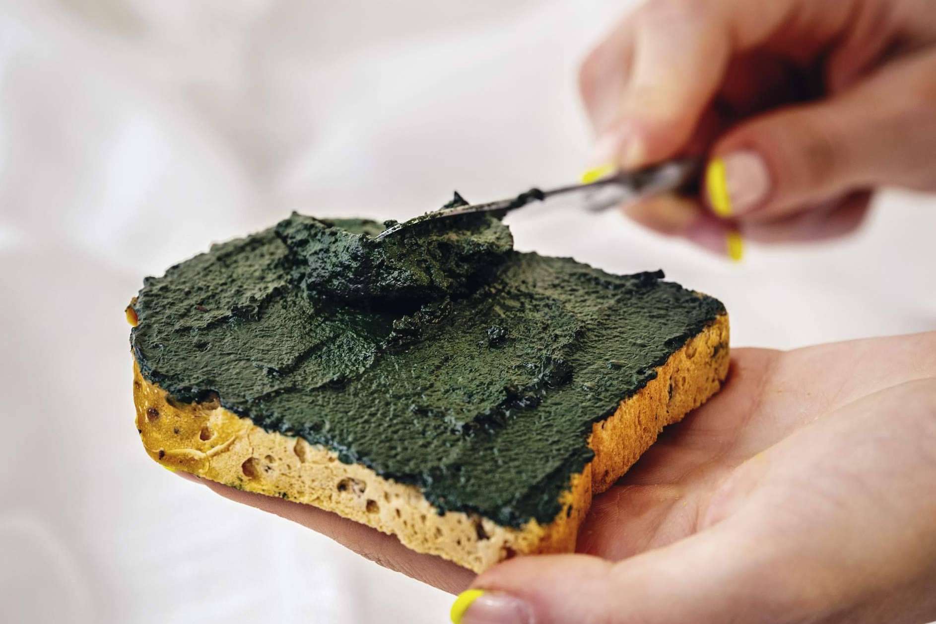 Blauver desmonta 5 mitos comunes sobre la espirulina fresca y aclara su seguridad nutricional