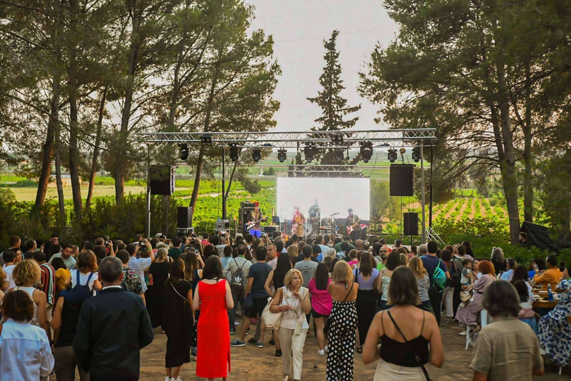 Sumergirse en la esencia de Tierra Bobal; vino, naturaleza y música a menos de una hora de Valencia