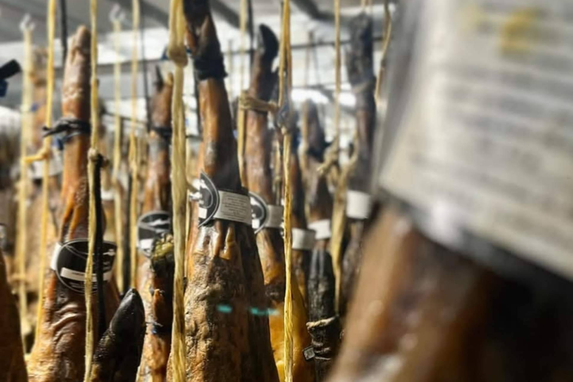 Paulino; Maestría, sabor y excelencia ibéricas