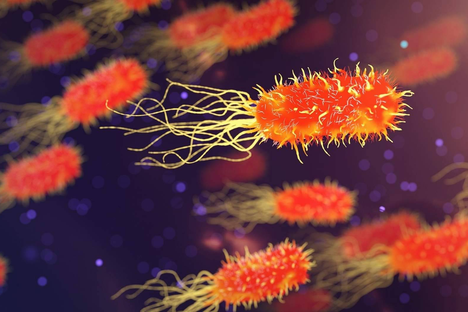 El tejido que revoluciona la sanidad, hoteles y cárceles con protección antiviral; CB20 ANTIVIRIC TEXTILES
