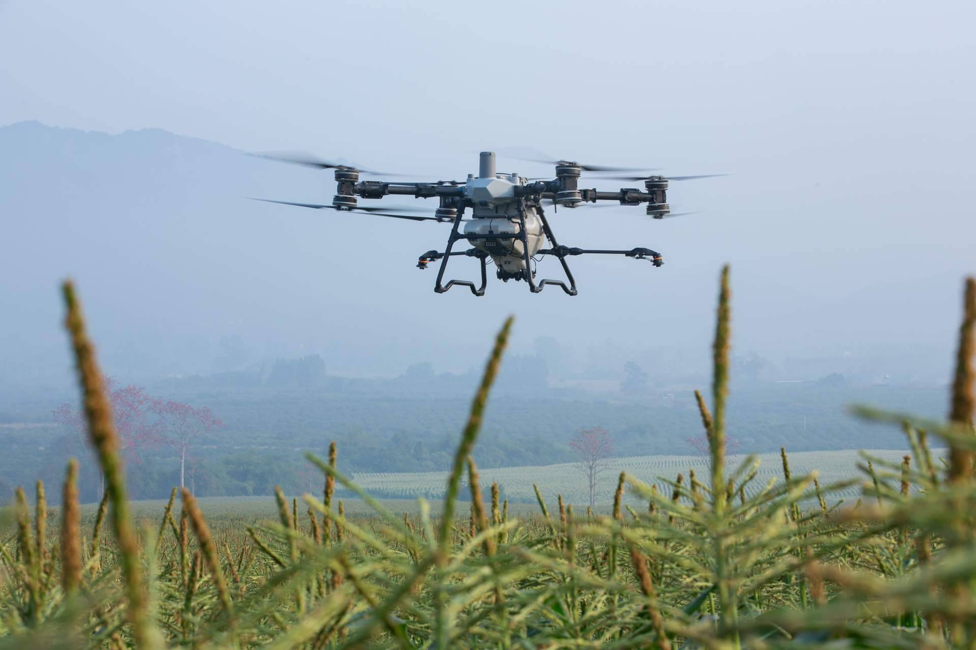 Llega a España el dron DJI Agras T100 de la mano de Aerofor, distribuidor oficial de DJI Agriculture