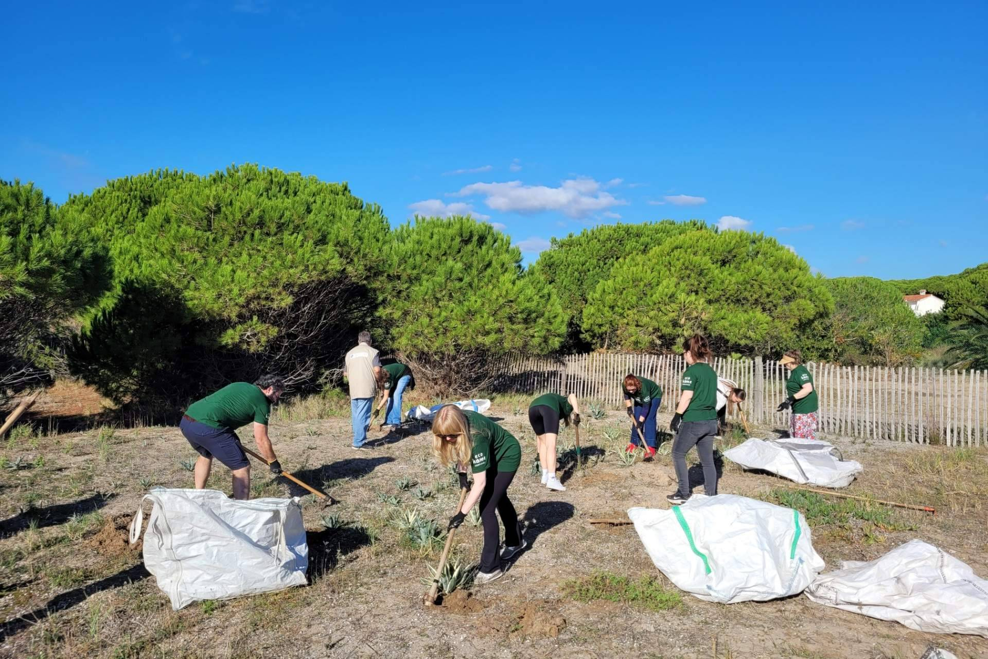 El equipo de sostenibilidad de Interhome impulsa la restauración del Delta del Llobregat