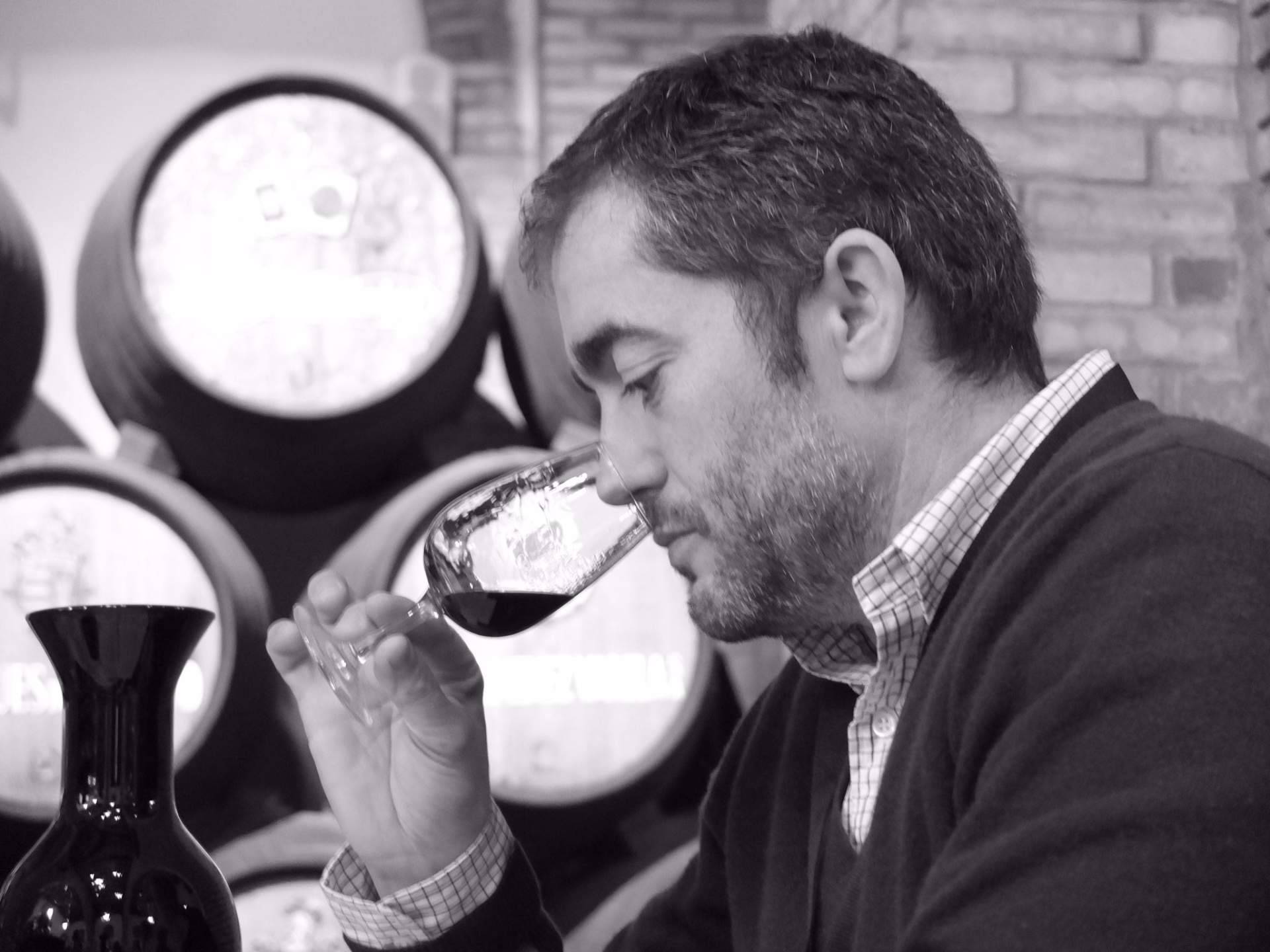 Más allá del brindis; cómo disfrutar el vino en la mesa de Navidad