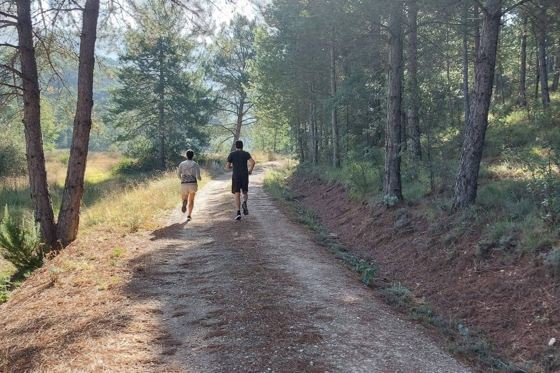 San Valentín en el bosque; El auge de las escapadas para reconectar en pareja