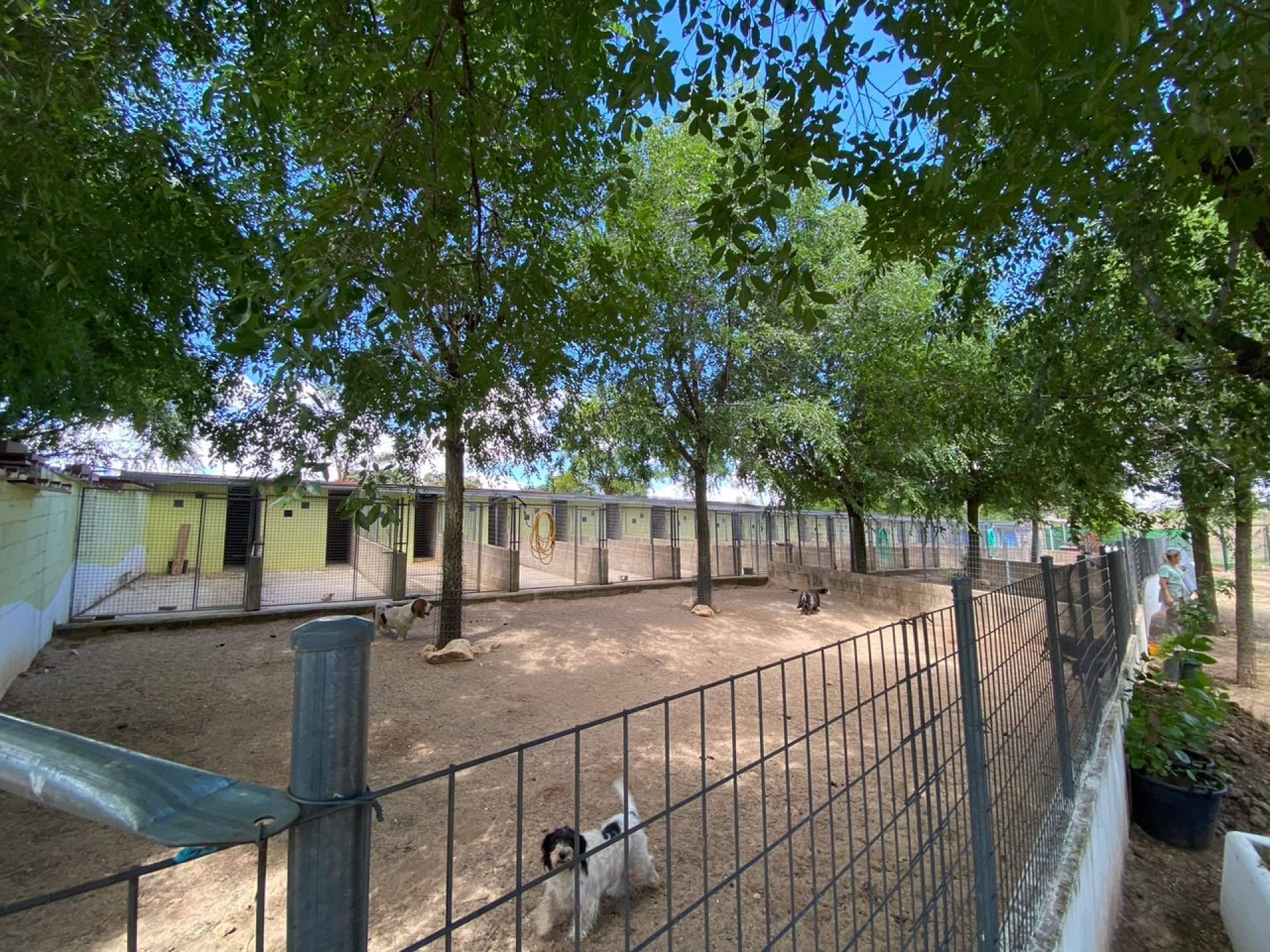 Granja La Luna, la alternativa segura y profesional para dejar a las mascotas