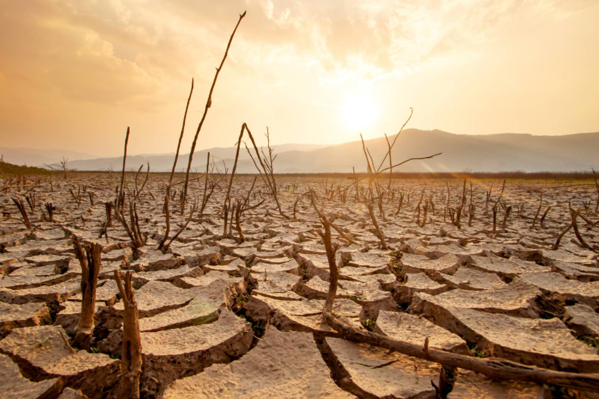 Bancarrota hídrica; qué es, por qué ocurre y qué soluciones ofrece la ingeniería del agua