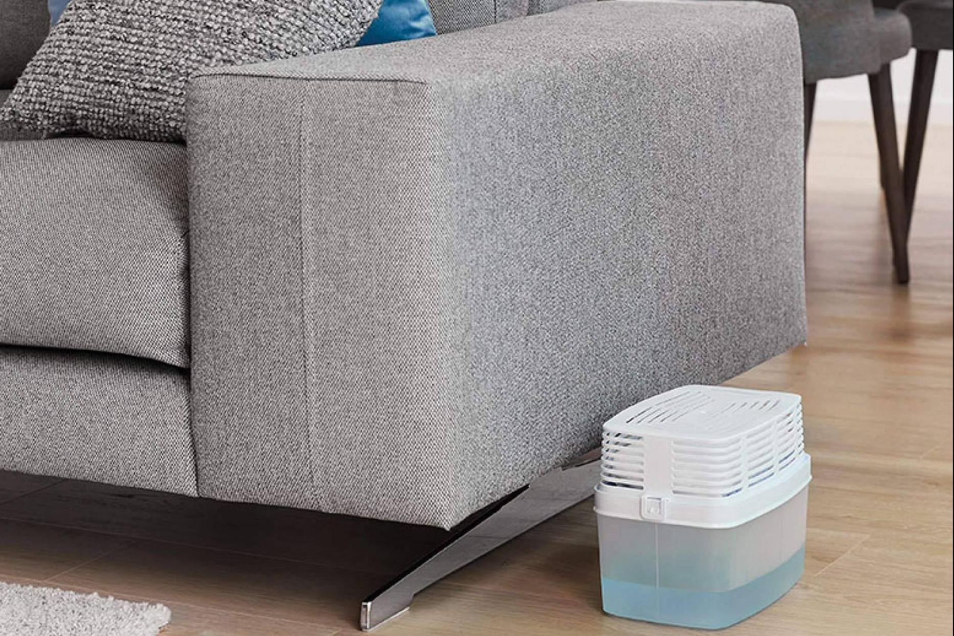 Cómo eliminar la humedad en casa sin obras ni reformas; solución sencilla, económica y que funciona