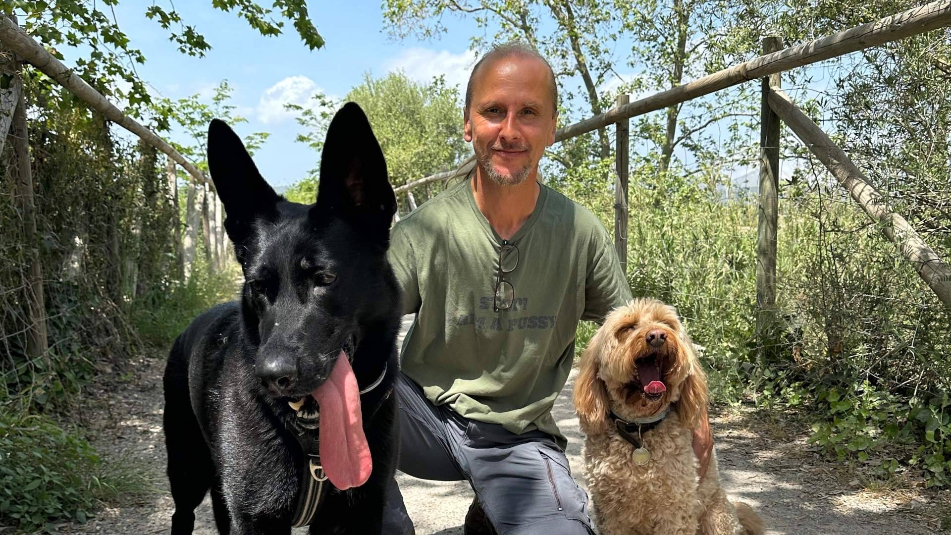 El impacto de internet y las redes sociales en la resolución de problemas de comportamiento en perros