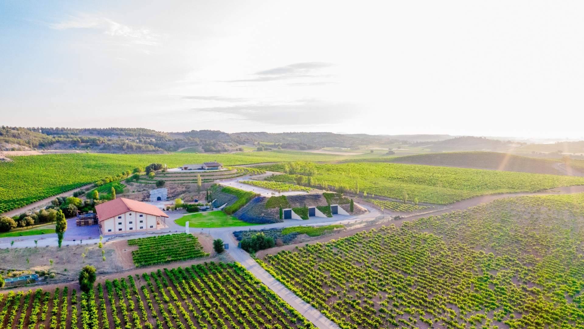 Difersa & Primavinia refuerza su liderazgo en Galicia con la incorporación de Bodegas Valduero a su portfolio de distribución